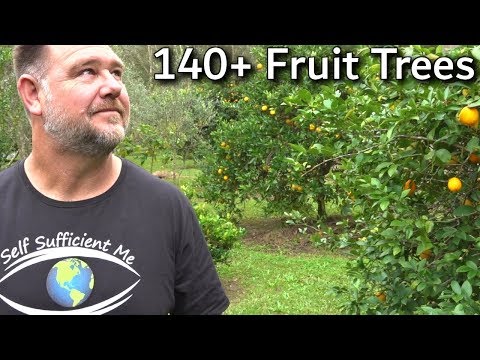 image-What is a fruit garden called?