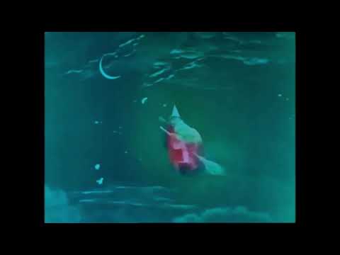 Pater Papula - Holywin