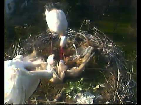 Ustroń. To tylko dzięki ludziom. 17.04.2013.