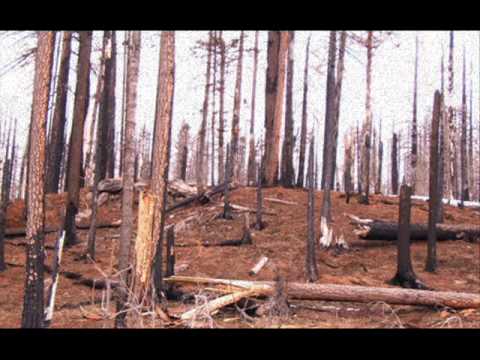 GORUMP PEYYA - 9 Months