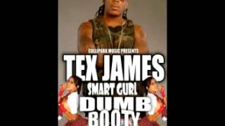 TEX JAMES &quot;Smart Girl (Dumb Booty)&quot; Feat. B.O.B. &amp; Stuey Rock (Prod. By MR HANKY)