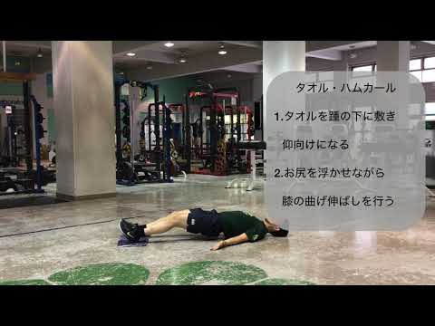 体育学科 タオル・ハムカール