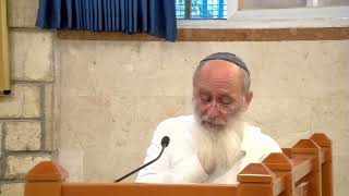 מקדושת האדם, קדושת הזמן לקדושת המקום – שיעור 115 – ספר במדבר