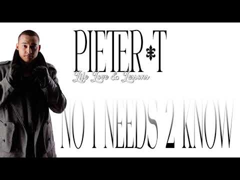 Pieter T - No 1 Needs 2 Know (Audio)