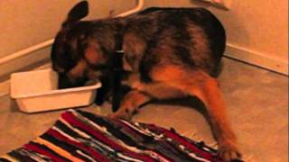 Very first days with Luka 2009