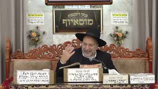 הרב דוד אדרי   מידות ודרך ארץ   מוסאיוף (בית הכנסת מוסאיוף) - התמונה מוצגת ישירות מתוך אתר האינטרנט יוטיוב. זכויות היוצרים בתמונה שייכות ליוצרה. קישור קרדיט למקור התוכן נמצא בתוך דף הסרטון