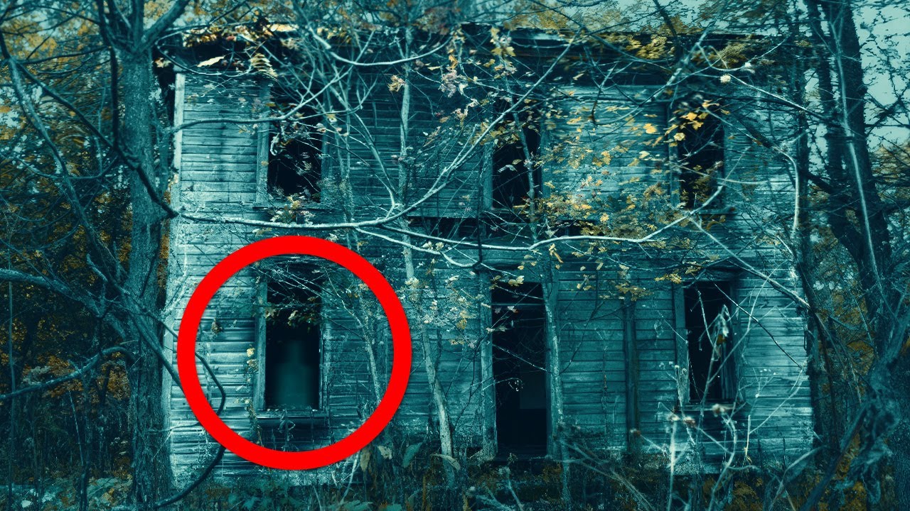 Coisas Sinistras Encontradas Em Florestas