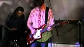 Echo and the Bunnymen - Flowers (live)