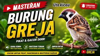 Download lagu Masteran Greja Seped Rapet  mp3