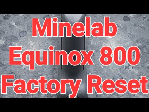 Minelab Equinox 800 Metal Detector