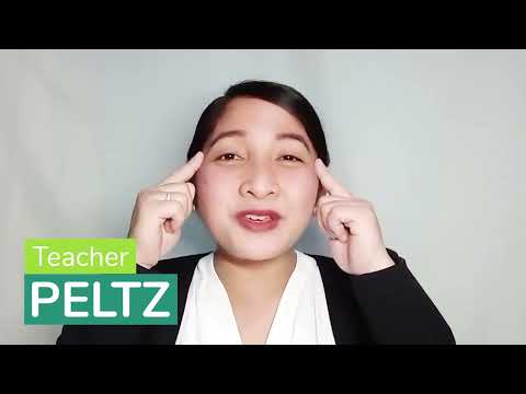 Peltzのプロフィール動画