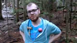 RodDama Friday Edit: Thorny edition