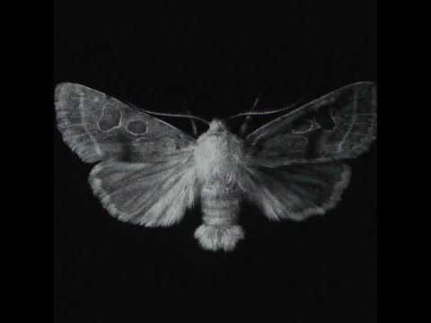 GirlsWithBlackHair - Kerosene (full album)