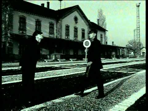 Animal Cannibals - Kanni-bál