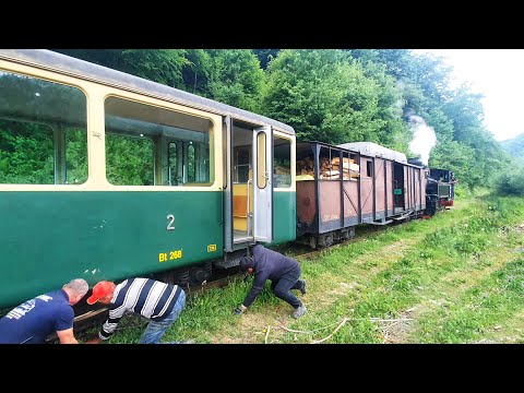 A vintage train derails-Deraiere Mocănița de pe Valea Vaserului-Repunere promptă pe roți ⚙💨🚂🚃🚃🚃🚃🚃🚃