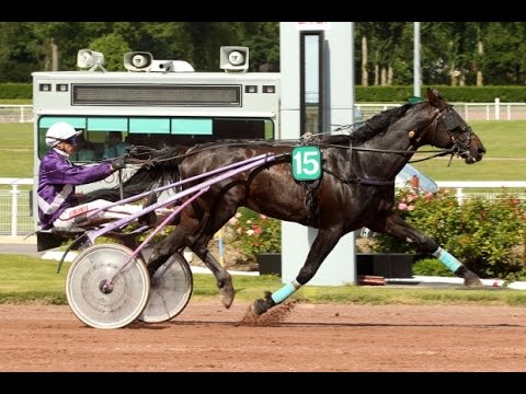 Course référence 211 TABRIZ DU GITE - 04/07/15 - Vichy