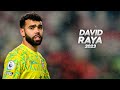 David Raya - Full Season Show - 2023ᴴᴰ