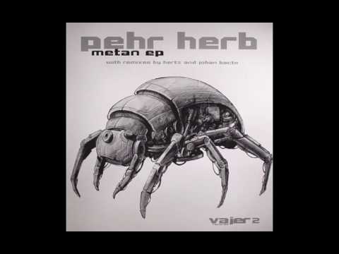 Pehr Herb  - Steam (Johan Bacto Remix)