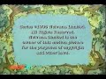 Nelvana Nick Jr 1995 2012