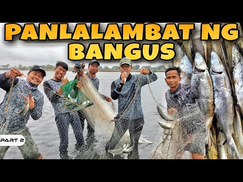 EP946-P2 - Panlalambat ng Bangus | Pagkabit ng Patoto sa Asinan