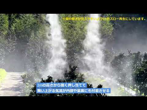 寒さに強い柑橘類をご存知ですか?知っておきたい丈夫な木ベスト3! 庭園