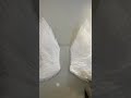 angel's wings- photo spot