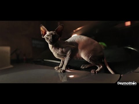 A2S - Rabattez vous | Daymolition