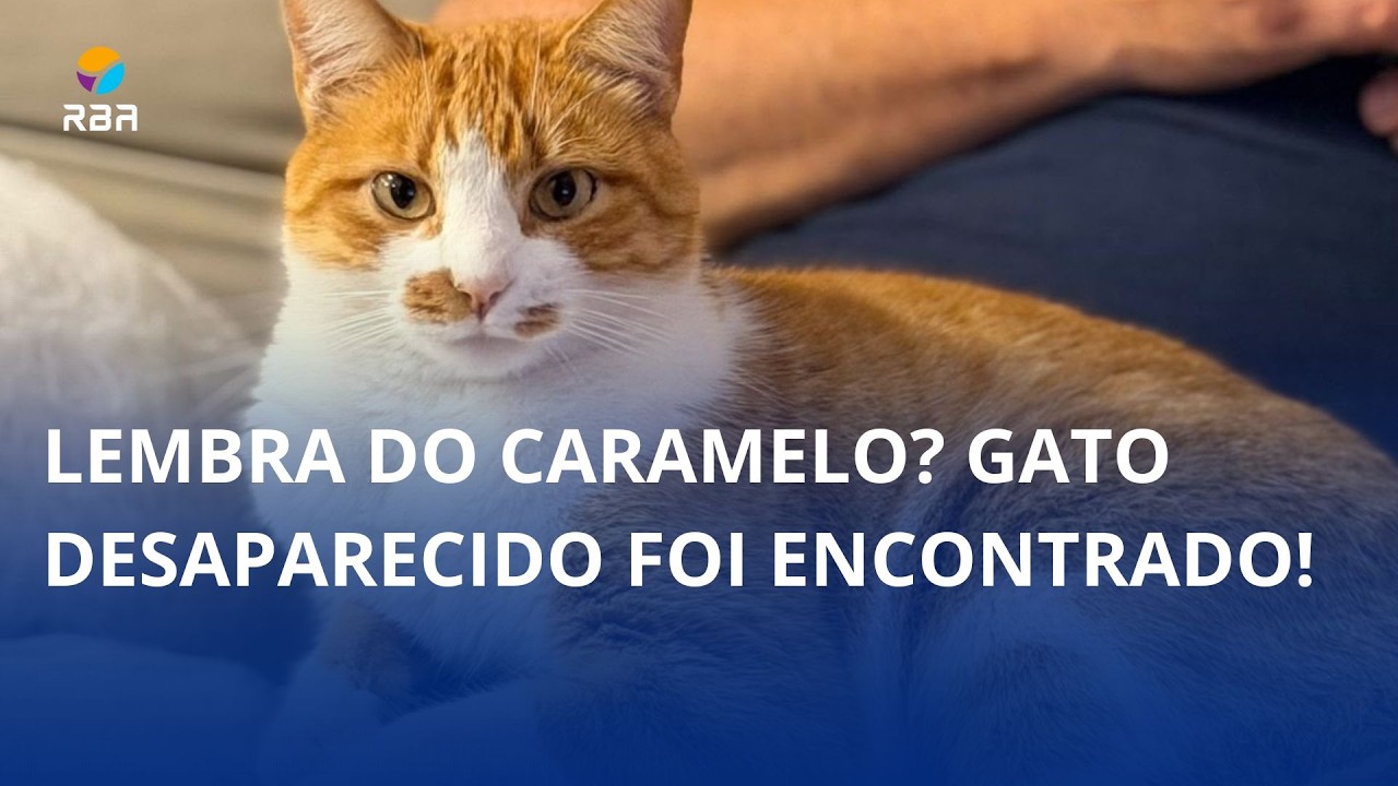 Lembra do Caramelo? 🐱 Gato desaparecido foi encontrado!