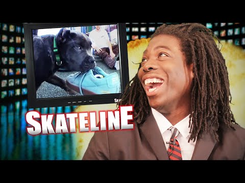 SKATELINE - King Puppy, Paul Hart & Mickey Papa Go Pro, Daewon Song