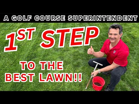 How Soil Testing Can Save Your Lawn (and Wallet)