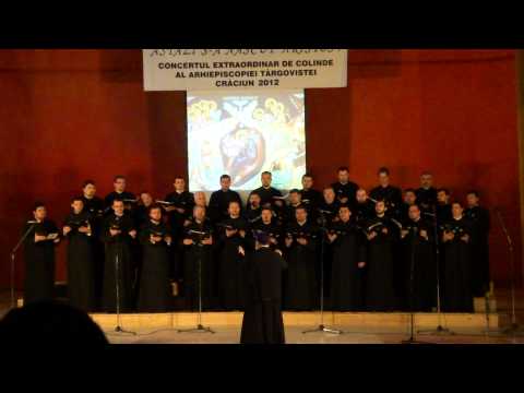 Corul preoților din Arhiepiscopia Târgoviștei - Sculați frați, nu mai dormiți! (8)
