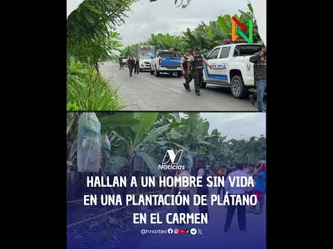 HALLAN A UN HOMBRE SIN VIDA EN UNA PLANTACIÓN DE PLÁTANO