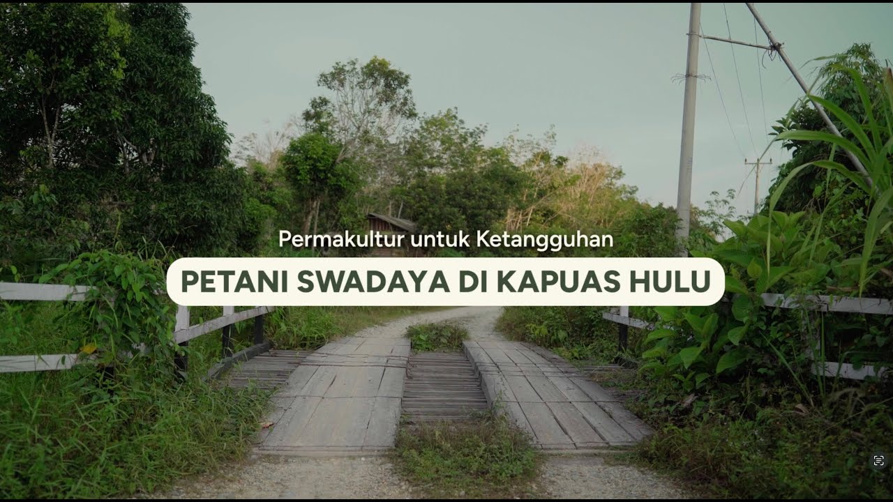 Permakultur untuk Ketangguhan Petani Swadaya di Kapuas Hulu