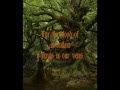 The Sons and Daughters of Robin Hood by Damh the Bard with Lyrics