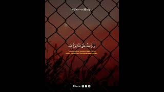 Download lagu Story WA Islami | Sauqbilu Ya Khaliqi | 04/01/22 mp3 Download lagu Story WA Islami | Sauqbilu Ya Khaliqi | 04/01/22 mp3