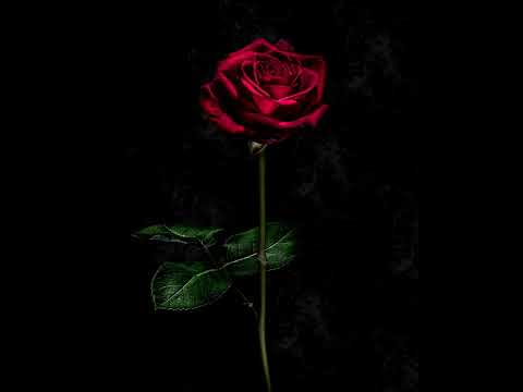 Co Ma Być To Będzie 