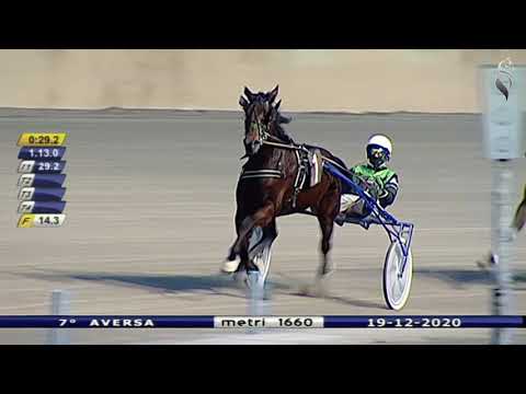 Aversa trotto 19 Dicembre 2020 - 7° Corsa