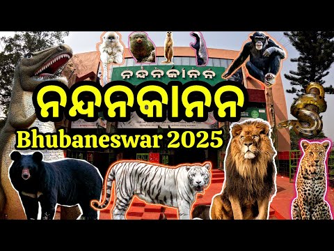 Nandankanan Bhubaneswar / Nandankanan Zoological Park / 2nd Largest Zoo of India / Odisha