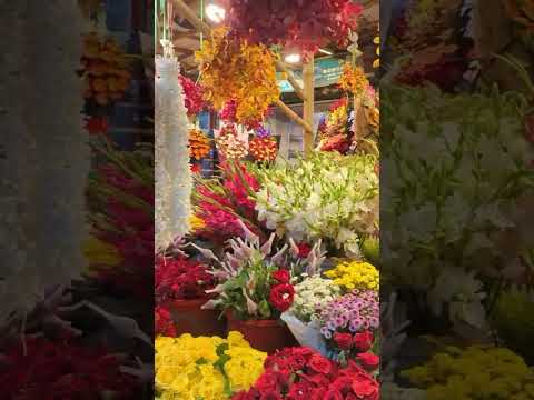 #music #song #flowers #waz # #coversong #lyrics #love