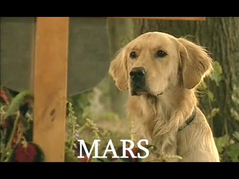 Psie serce - Mars ODC 5