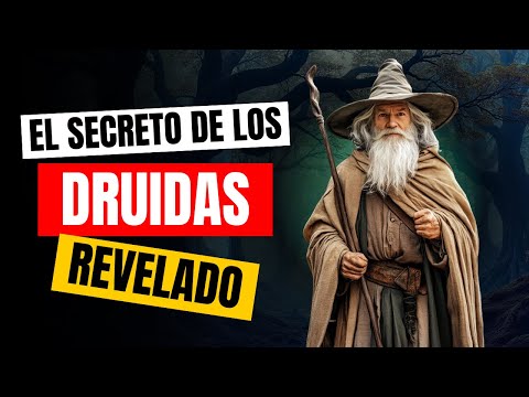 El Misterrio de los Druidas