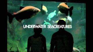 Underwater Seacreatures - You (Slow Down)