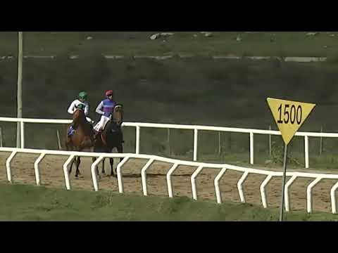 SINT FLORIDA 230512 c04 1° DESTEMIDO