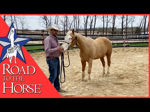 Road to the Horse 2026 Championship Competitor Ryan Rose