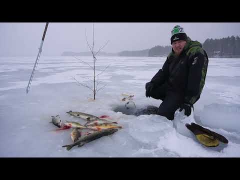 Talviverkoilla 18.1.2023