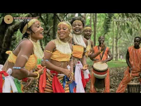 WWD 2021 Music of Wood - Aaninka - myForest part II