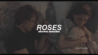 Shawn Mendes - Roses (Traducida al español)