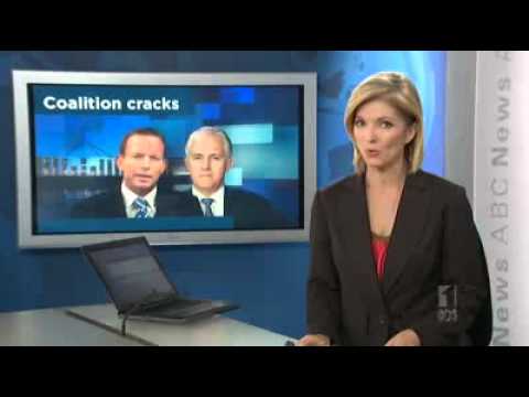 Turnbull supporters attack Abbott over email