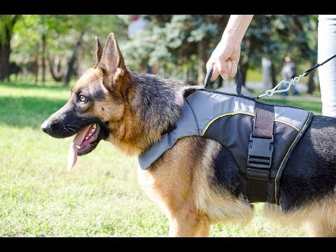 Dog vest for german shepherd hot sale