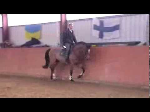 Lord Z x Cash and Carry, geb. 2007